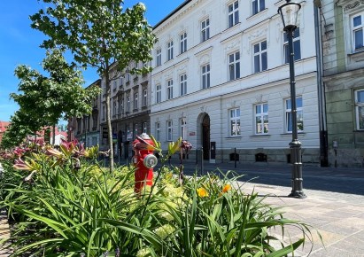 lokal na sprzedaż - Bielsko-Biała, Centrum